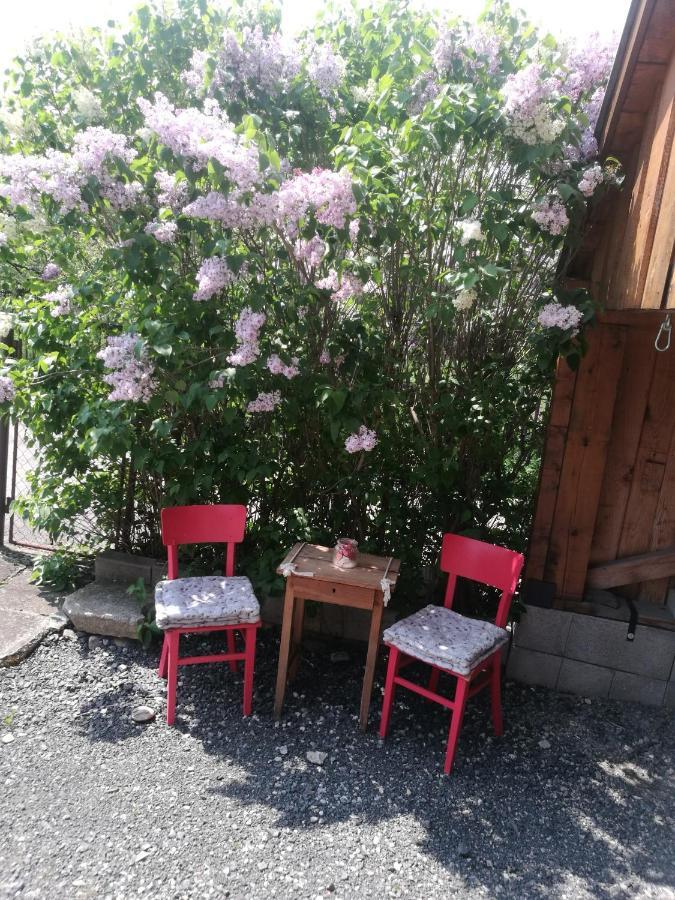 Drevenica Zapadne Tatry S Kupacou Kadou A Krbom Apartment Ziar Bagian luar foto