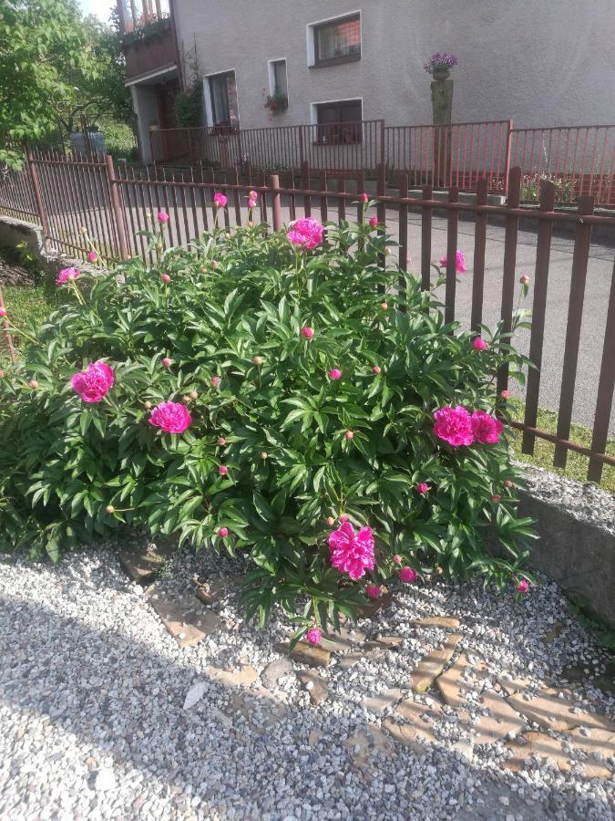 Drevenica Zapadne Tatry S Kupacou Kadou A Krbom Apartment Ziar Bagian luar foto