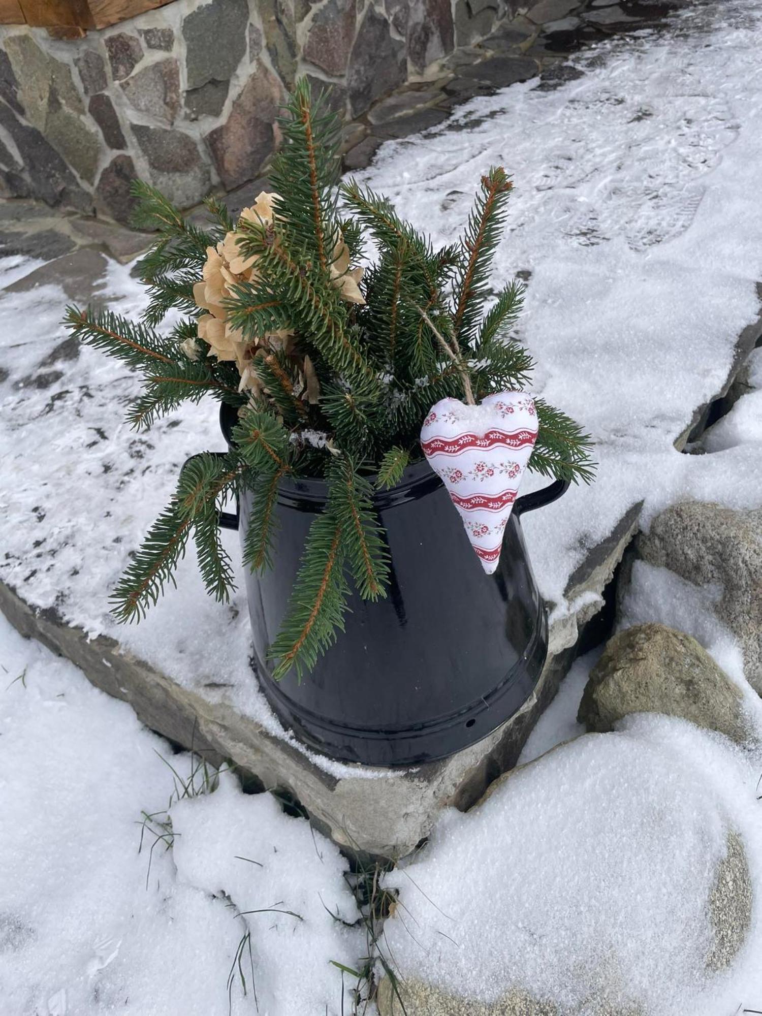 Drevenica Zapadne Tatry S Kupacou Kadou A Krbom Apartment Ziar Bagian luar foto