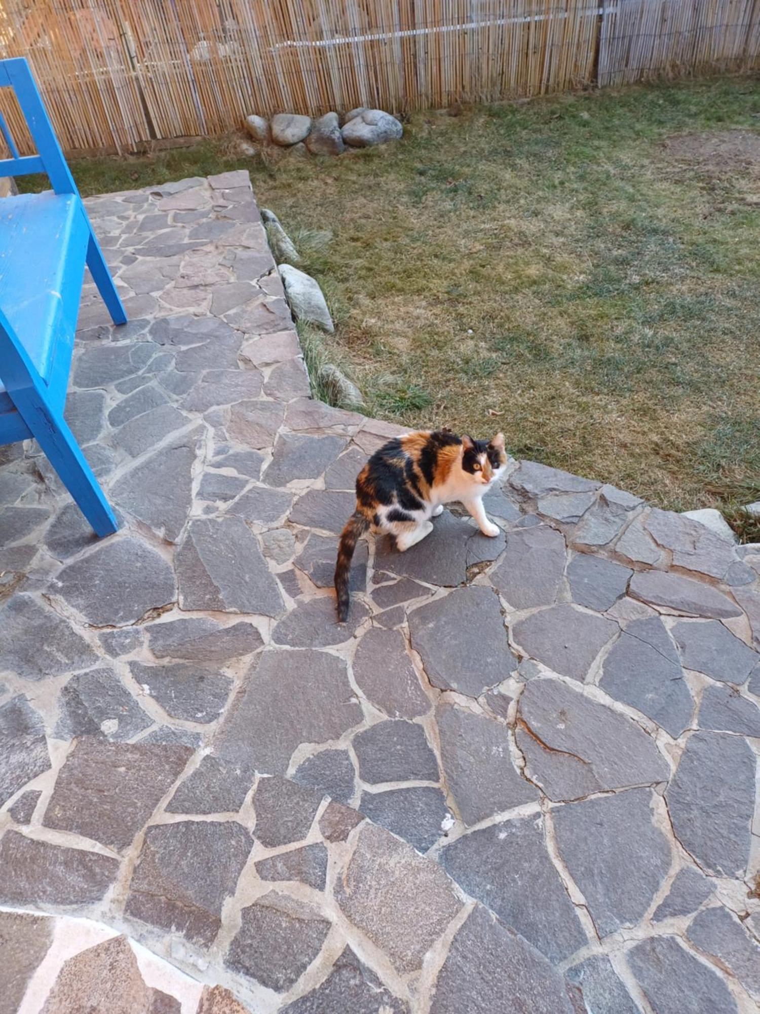 Drevenica Zapadne Tatry S Kupacou Kadou A Krbom Apartment Ziar Bagian luar foto